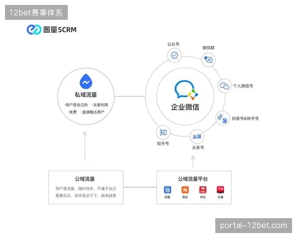 Visa跨境支付结算体系如何延伸会员触达半径提升复购留存率